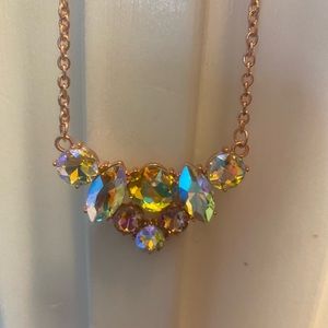 Paparazzi necklace amd earrings set